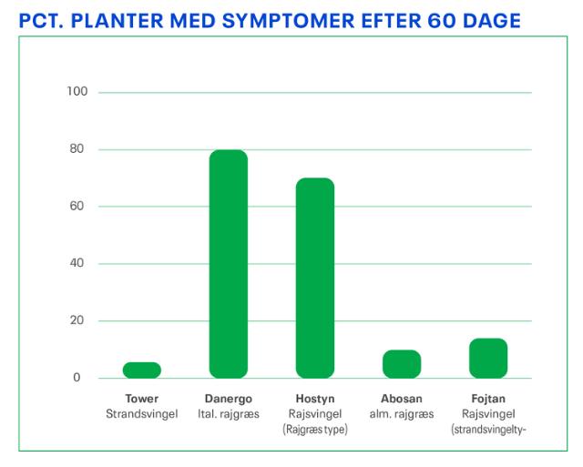 Pct planter med symptomer efter 60 dage