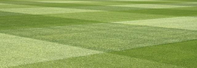 4turf rajgræs fodboldbane