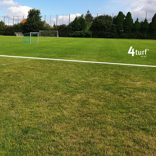 4turf plots viser sygdomstolerance