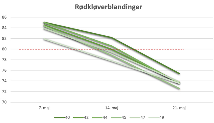 Rødkløverblandinger