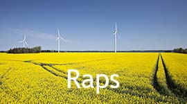 Rapsmark
