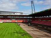 ProTurf Plus til MCH Arena