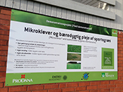 Fossilfri ø med mikrokløver