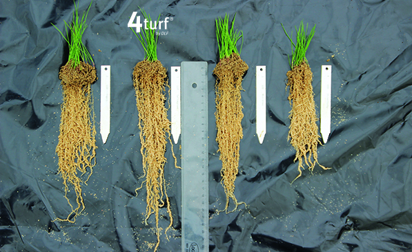 4turf billede