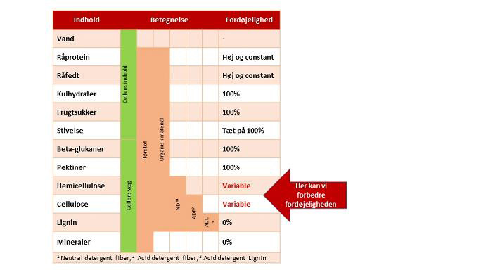 DLF Fiber Energy