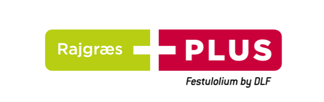 Rajgræs PLUS - Festulolium by DLF